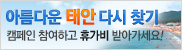 아름다운 태안 다시 찾기